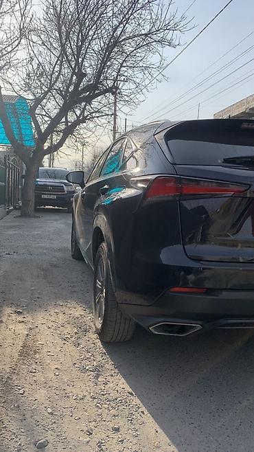 Lexus: Lexus NX: 2019 г., 2 л, Автомат, Бензин, Кроссовер — 3