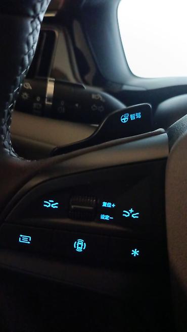 BYD: BYD Song Plus: 2025 г., Электромобиль, Кроссовер — 13