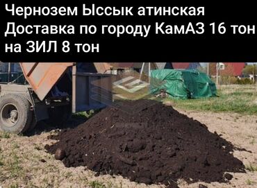 искусственные деревья: В тоннах, Камаз