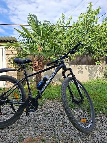 velo mtb: Şəhər və yüngül off-road sürüşləri üçün dağ velosipedi – Champion — 1