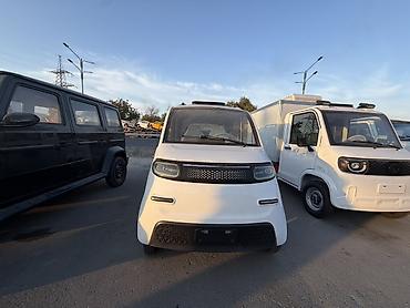 Microcar: Microcar : 2026 г., Электромобиль — 1