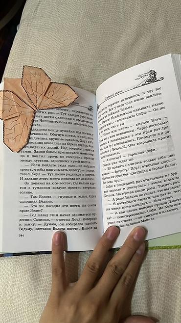 ролер: Книга: «Ходячий замок» — Диана Уинн Джонс (Diana Wynne Jones) - Язык — 5