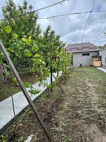 archa group: Продается дом с большим участком 15 соток в живописном селе Кой-Таш — 8