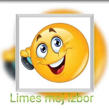 Suplementi: Limes prirodni program – biljne mešavine, čajevi i kreme za negu i — 32