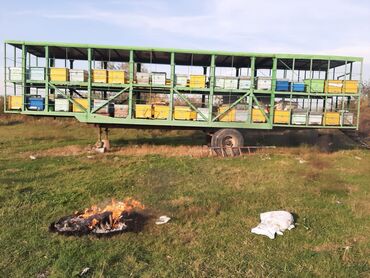 Digər kənd təssərüfat avadanlığı: Köçəri arıçılıq üçün komplekt trailer-karavanlar və avadanlıqlar - Üç — 9