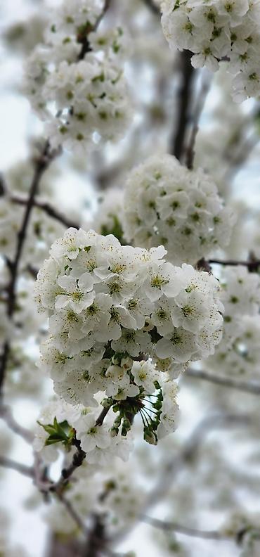 Фотографы, видеооператоры: Фотограф, видеооператор. 19 — 5