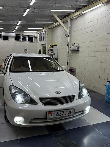виндом фары: Toyota Windom: 2005 г., 3 л, Автомат, Бензин, Седан — 7