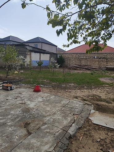 binə mehriban qonşular: 9 sot, Tikinti, Makler, Kupça (Çıxarış), Texniki pasport — 7