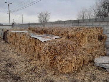 продаю кошек: А/ч жаныбарлары үчүн тоюттар