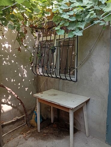 Torpaq sahələrinin satışı: 100 sot, Mülkiyyətçi — 4