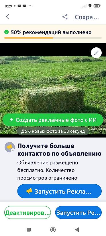 крс: Сено люцерновое в тюках - Кормовое сено из люцерны, спрессованное в — 1