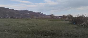 Torpaq sahələrinin satışı: Kənd təsərrüfatı — 20