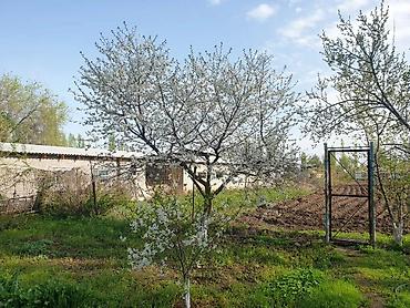 мкр улан: 4 комнаты, 85 м², 28 соток, Джал, Собственник — 9