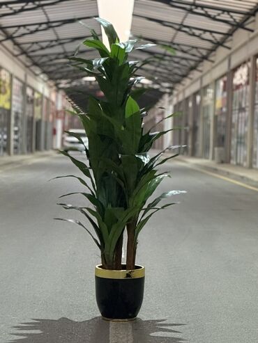 Süni güllər: Dekorativ süni ağaclar dəsti - Model 1: Varlıqlı yarpaqlı dekorativ — 27