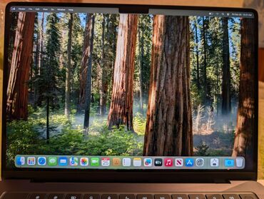 Ноутбуки: Ультрабук, Apple, 16 ГБ ОЗУ, Apple M3 Pro, 14 ", Б/у, Для несложных задач, память SSD — 4