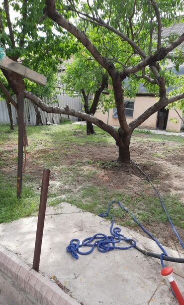 Продажа участков: 4 соток, Для строительства, Красная книга, Тех паспорт, Договор купли-продажи — 5