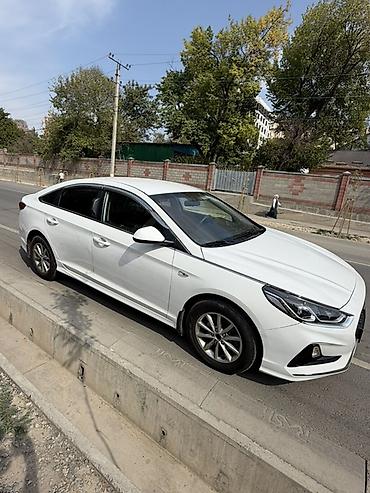 мозги бмв: Hyundai Sonata: 2019 г., 2 л, Автомат, Газ, Седан — 3