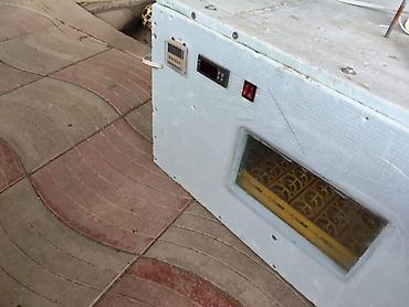 İnkubatorlar: 100 yumurta, Azərbaycan, Tam avtomat, Bütün növ quşlaq üçün — 1