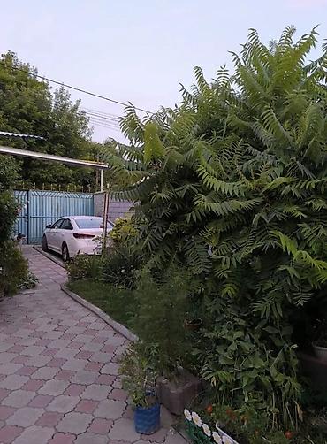 Продажа коттеджей и домов: Продаётся уютный дом площадью 67 кв.м на участке размером 4,9 соток — 3