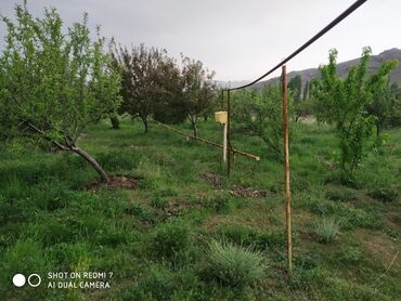nizami rayonunda 1 otaqli evlerin qiymeti: 90 kv. m, 3 otaqlı, Hovuzlu, Qaz, İşıq, Su