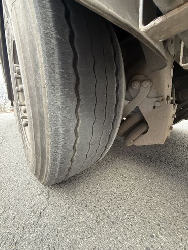 Тягачи: Тягач, DAF, 2019 г., Тентованный — 20