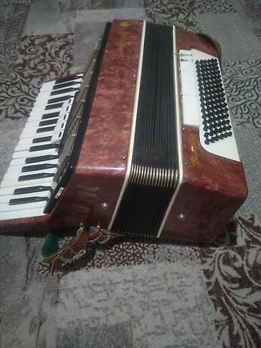 Аккордеоны: Аккордеон «Россий» (надпись на корпусе), красно-коричневый — 2