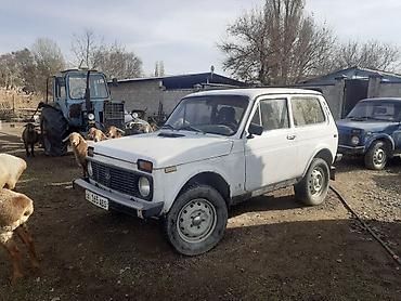 нива ска5: ВАЗ (ЛАДА) 4x4 Нива: 2007 г., Механика, Бензин, Внедорожник — 1