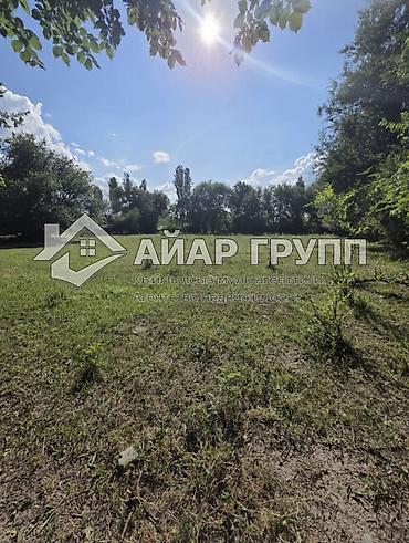 жайыт: 39 соток, Курулуш — 3