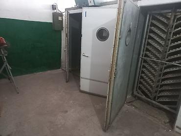 Инкубаторы: Промышленный инкубаторный комплекс для птицеводства. - Камерный — 1