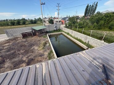 Другой готовый бизнес: Готовый бизнес. Теплица — 4