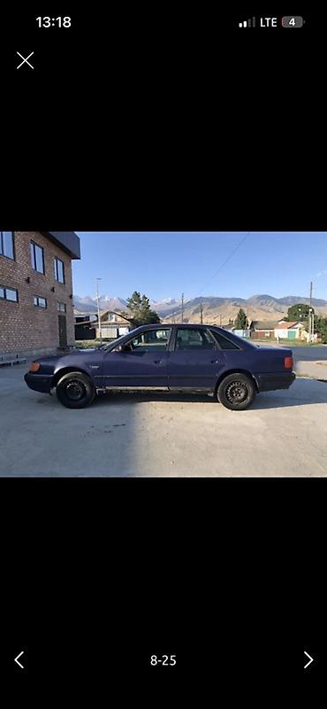 химия авто: Audi 100: 1991 г., 2.6 л, Механика, Бензин, Седан — 5