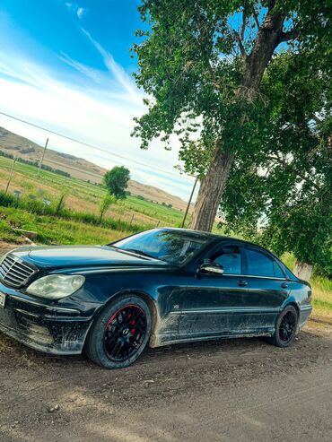 mercedes benz s class 2003: Mercedes-Benz S 500: 1999 г., 5 л, Автомат, Бензин, Седан