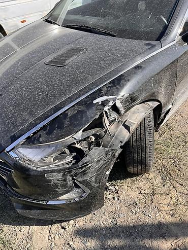 кузовные запчасти на корейские авто: Hyundai Sonata: 2019 г., 2 л, Автомат, Газ, Седан — 3