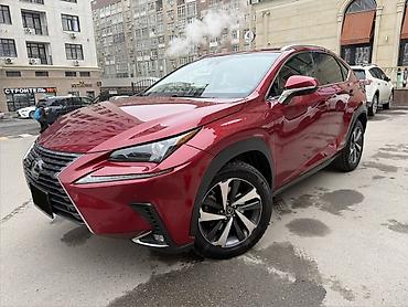 belarus 892 2: Lexus NX: 2018 г., 2 л, Автомат, Бензин, Кроссовер — 1