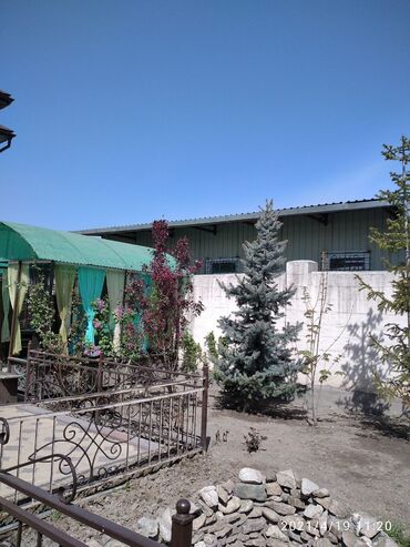 Туристические услуги: Bishkek hostel -coworking . Приглашаем в наш уютный хостел ✨ Максимум — 3