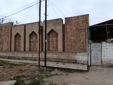 Həyət evləri və villaların satışı: Satılır: Ünvan Salyan Rayon Taleh Davudzade küçəsi Pambıq Zavodu — 9