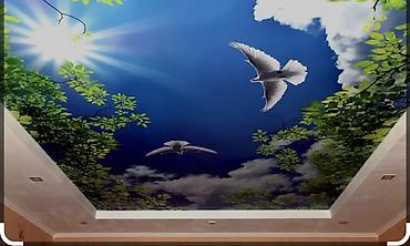 Натяжной потолок: Натяжной потолок Глянцевое, Матовое, 3D потолки Гарантия, Бесплатная консультация, Бесплатный замер — 13