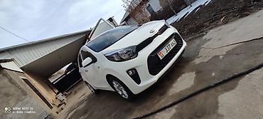 byd e1: Kia Picanto: 2019 г., 1 л, Автомат, Бензин, Хэтчбэк — 5