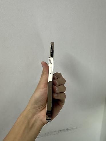 IPhone 13 Pro Max, 1 ТБ
Цена 49.000с at lalafo.kg IPhone 13 Pro Max, 1 ТБ
Цена 49.000с