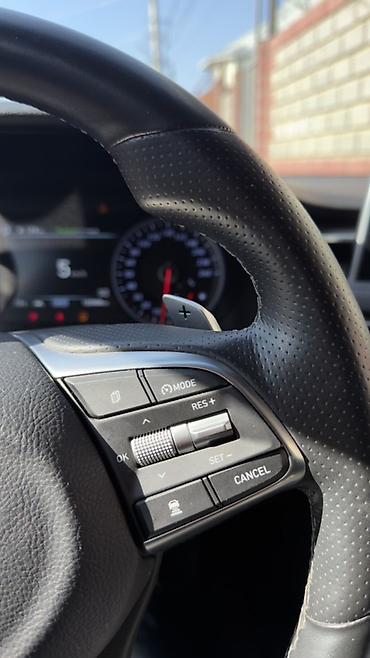 Hyundai: Hyundai Genesis: 2020 г., 2.2 л, Дизель — 26