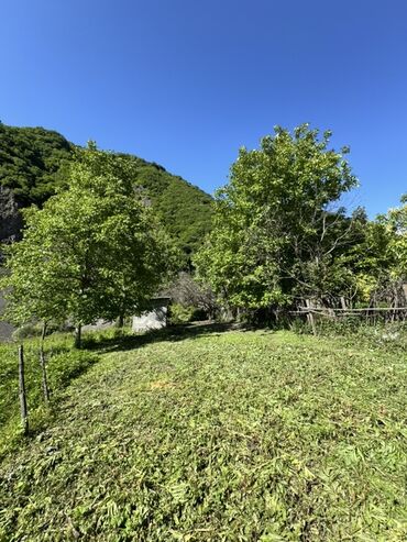 Torpaq sahələrinin satışı: 7 sot, Mülkiyyətçi, Kupça (Çıxarış)