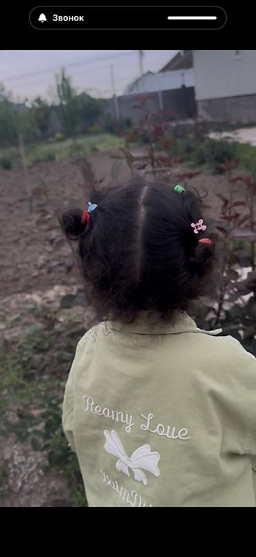 Продажа участков: 8 соток, Для строительства, Красная книга at lalafo.kg — 10 Продажа участков: 8 соток, Для строительства, Красная книга — 10