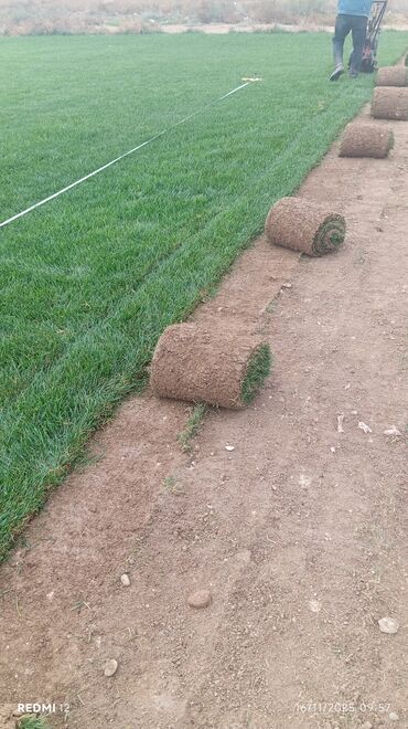 Torpaq sahələrinin satışı: Kənd təsərrüfatı, Mülkiyyətçi — 21