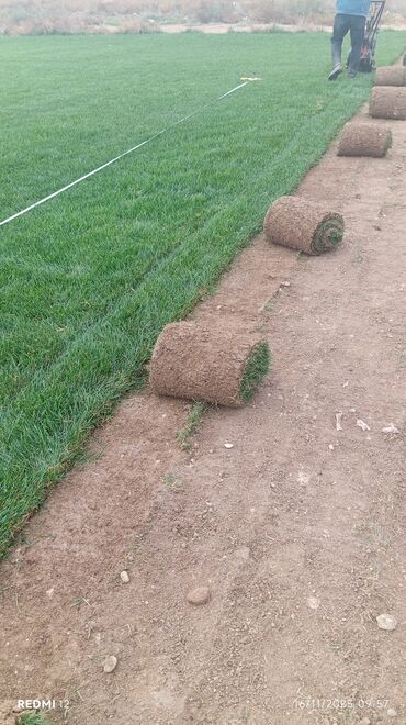 Süni qazon: Rulonlu qazon – professional əkilib-becərilmiş, sıx və vahid yaşıllıq — 10