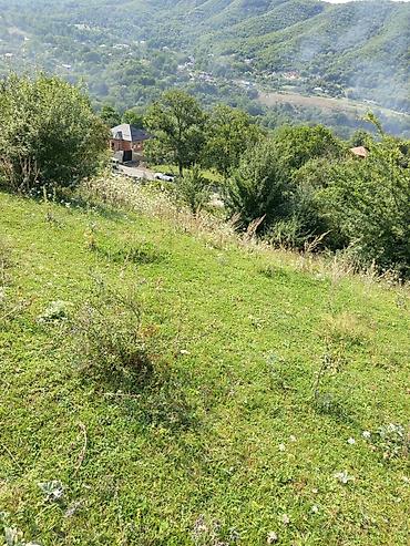 ramanıda torpaq satılır: 17 sot, Tikinti, Maklerlər narahat etməsin, Bələdiyyə — 3