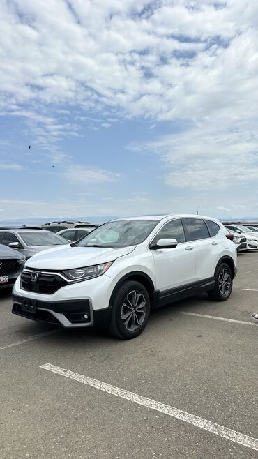 самая дорогая машина в кыргызстане 2023: Honda CR-V: 2020 г., 1.5 л, Вариатор, Бензин, Кроссовер