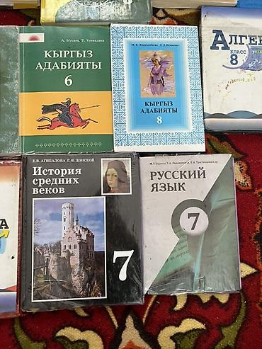 ролер: Школьные учебники для 6–9 классов (разные предметы) Состав подборки — 5