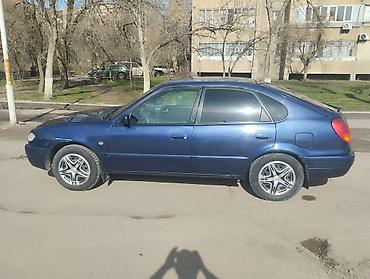 Toyota: Toyota Corolla: 2001 г., 1.4 л, Механика, Бензин, Хэтчбэк — 8