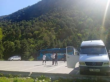 Такси: Автобус заказ — 11