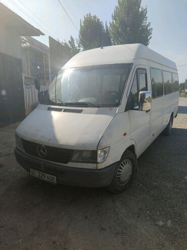 поддон спринтер: Mercedes-Benz Sprinter: 1997 г., 2.9 л, Механика, Дизель, Бус